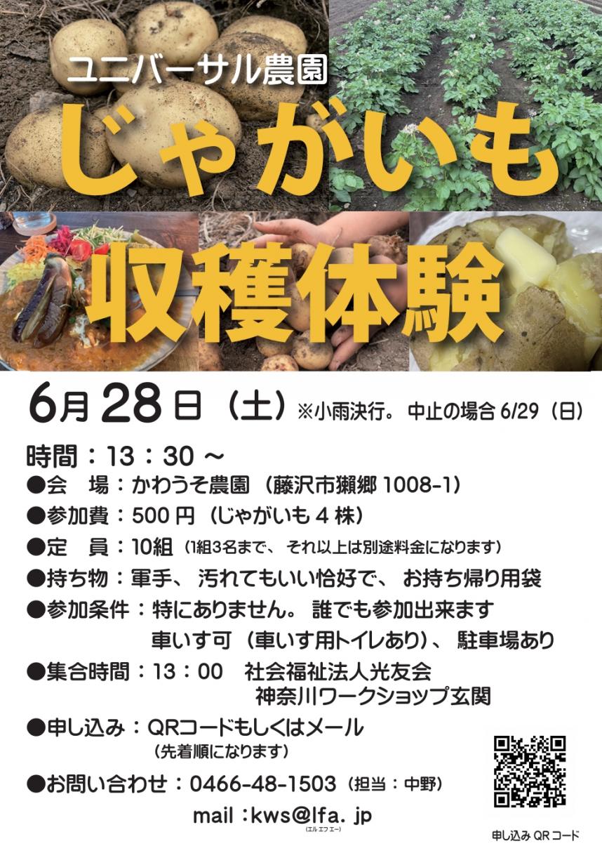 チラシ