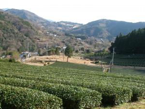 松田町寄