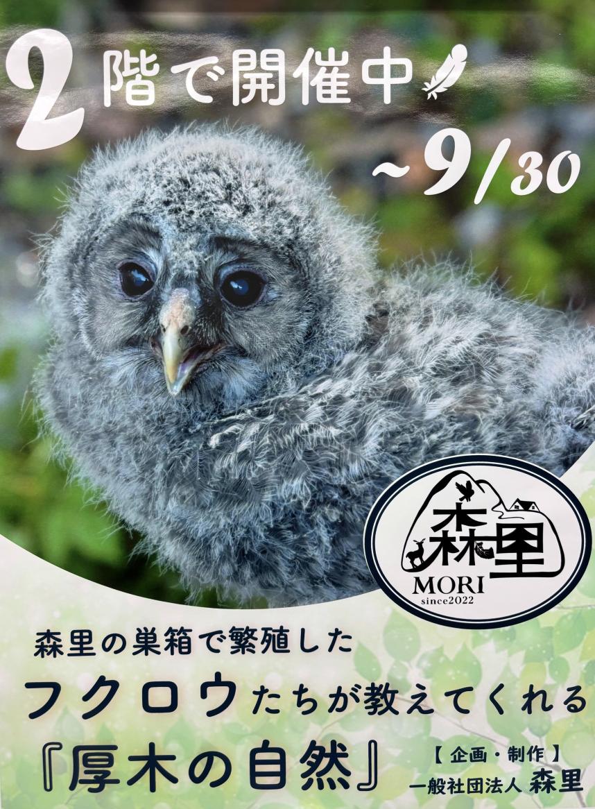 ポスター