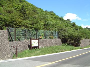 写真:探勝歩道出入口の風景