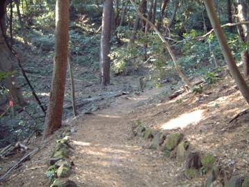 写真:番場浦遊歩道の風景